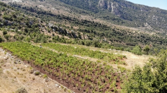 created by dji camera